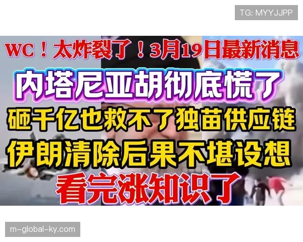 新西兰大洋洲独苗 面对比利时伊朗恐难取积分